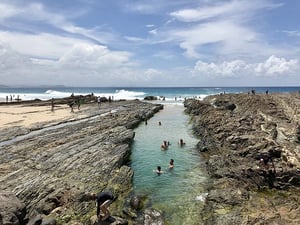 985_800px-snapper_rocks_coolangatta_gold_coast_queensland_09
