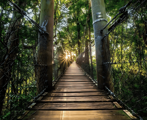 Hiking and Walking Trails