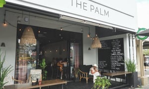 The Palm Pottsville