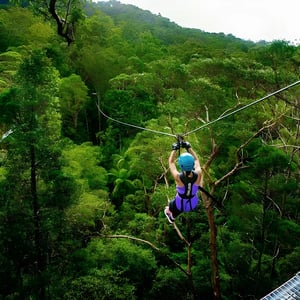 TreeTop Challenge